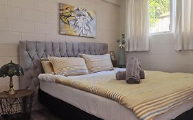 Mt Eden Tidy Unit A